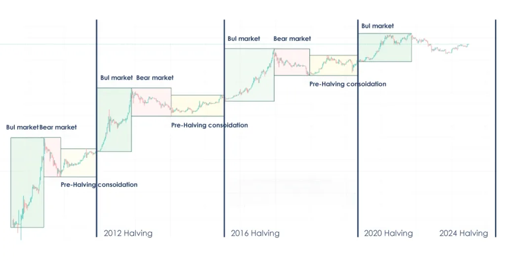 past bitcoin halving event